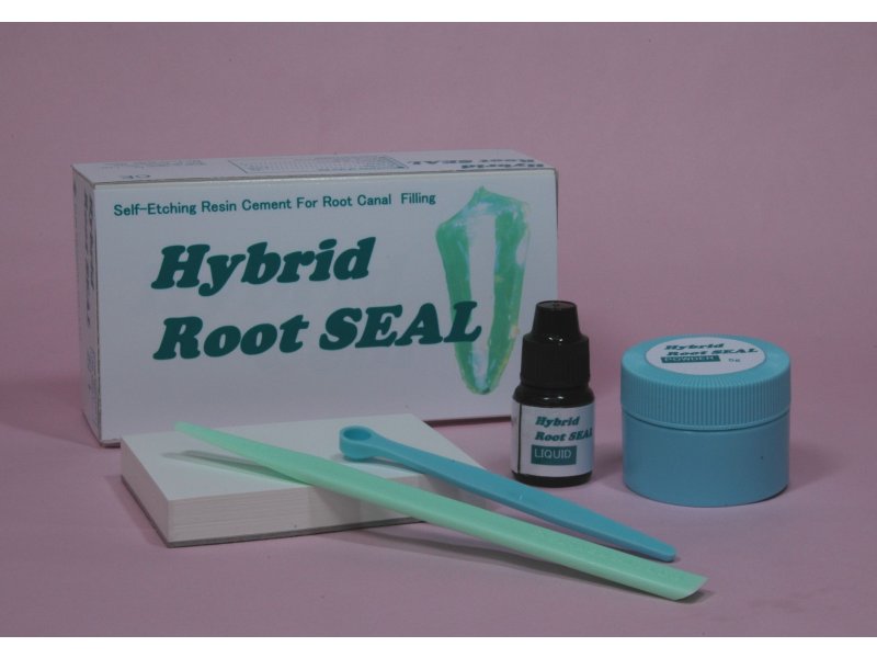 Hybrid ROOT Seal Nouveau ciment endocanalaire AUTOMORDANCANT